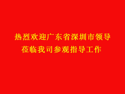 广东省深圳市领导莅临我司参观指导工作