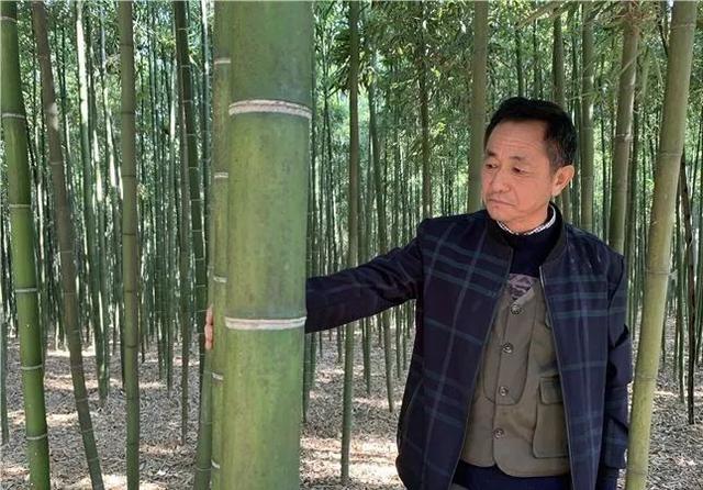 育文化聚人才,高淳以党建引领乡村全面振兴