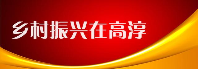 育文化聚人才,高淳以党建引领乡村全面振兴
