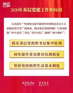 2020年基层党建工作如何做