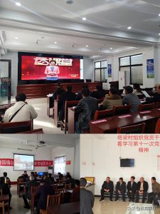 河南镇平：“智慧党建”融平台 助力党员教育提质提效